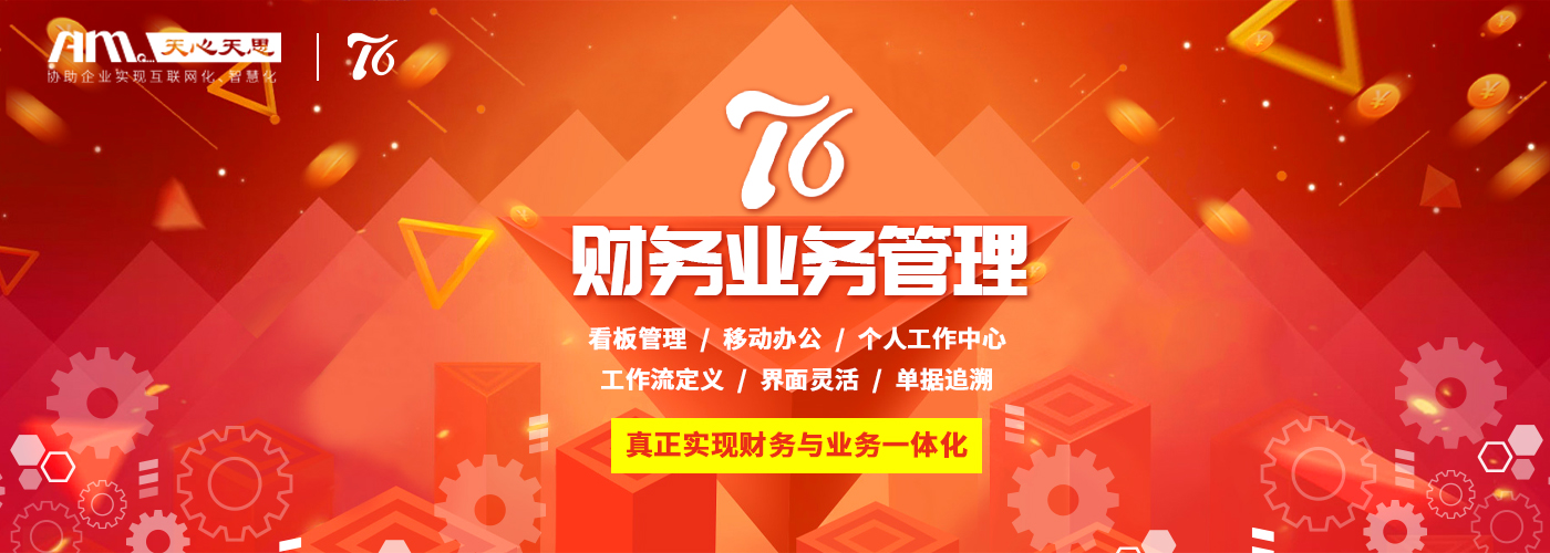 T6财务业务管理
